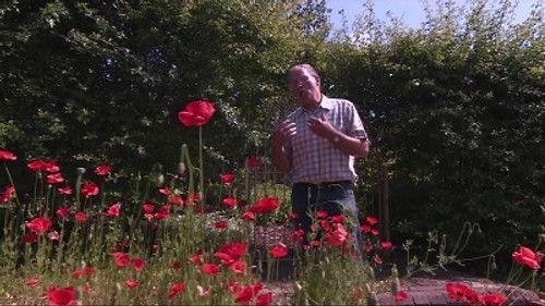 The Beechgrove Garden Season 36 Episode 15 - Episode 15