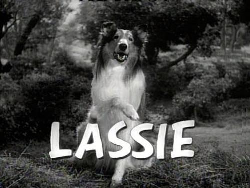 Lassie Season 11 Episode 20 - High Water