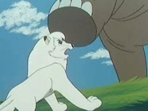 Kimba the White Lion Season 2 Episode 22 - Candle Rock