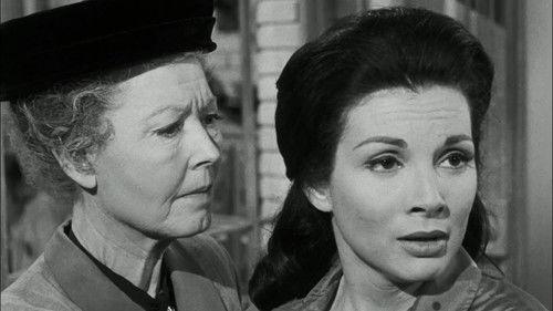 Perry Mason Season 4 Episode 20 - The Case of the Barefaced Witness