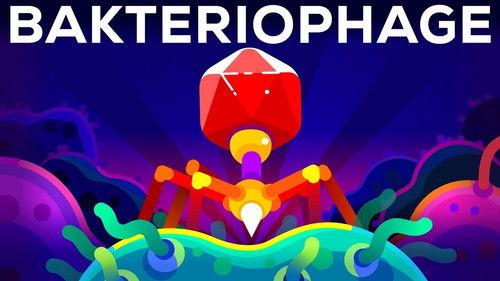 Kurzgesagt - In a Nutshell Season 6 Episode 7 - The Deadliest Being on Planet Earth — The Bacteriophage