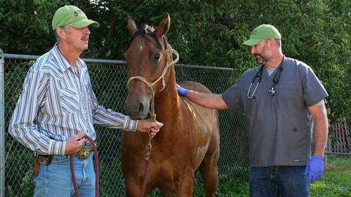 Background image for The Cat's Meow