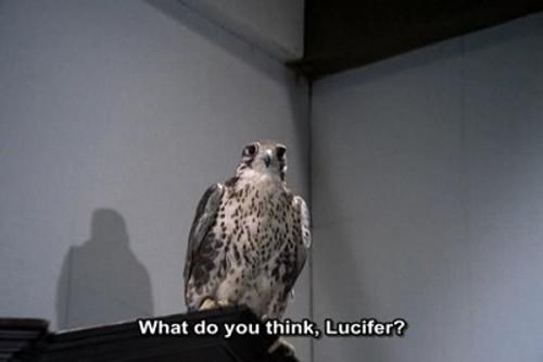 Mission: Impossible Season 4 Episode 14 - The Falcon (1)