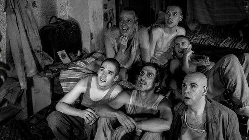 Nights in Tefía Season 1 Episode 2 - Episode 2