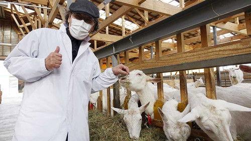 Nice Town Walks in Hokkaido with Rui Yoshida Season 8 Episode 48 - Episode 48