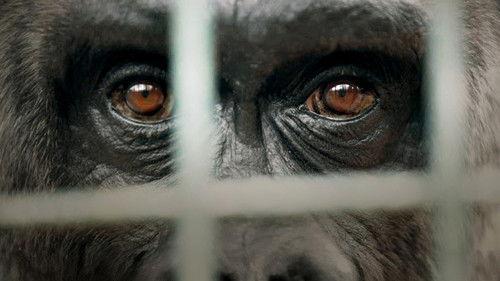 Vetenskapens värld Season 50 Episode 14 - Episode 14