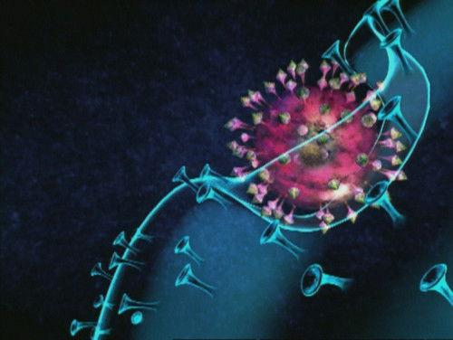 Zembla Season 12 Episode 5 - Daar komen de Polen