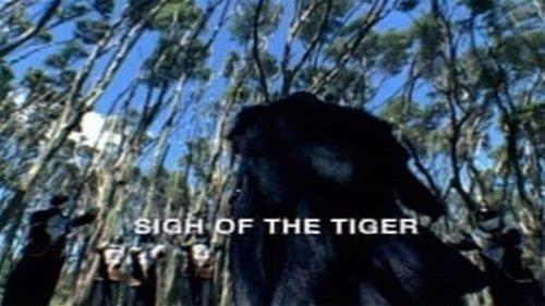 Power Rangers Season 16 Episode 3 - Sigh of the Tiger
