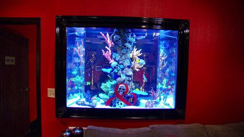 Tanked Season 7 Episode 2 - Penn & Teller Monkey Magic