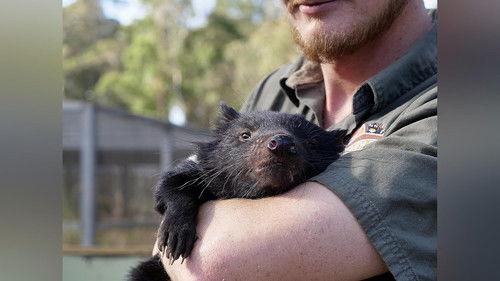 My Best Friend's An Animal Season 1 Episode 3 - Spud, Digger, and Tommy