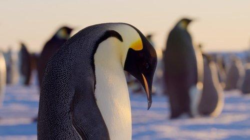 Earthsounds Season 1 Episode 6 - Polar Worlds