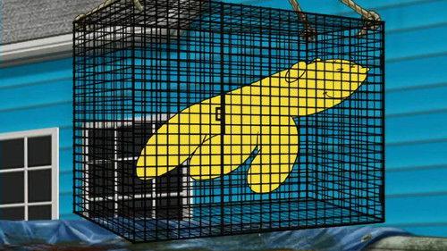 Aqua Teen Hunger Force Season 4 Episode 6 - Handbanana