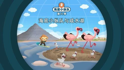 Octonauts Season 8 Episode 4 - Episode 4