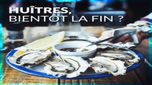 Le Doc du dimanche Season 8 Episode 16 - Episode 16