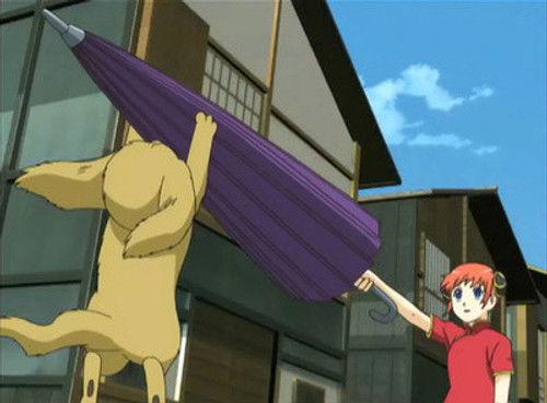 undefined Season 3 Episode 31 - Cat Lovers and Dog Lovers Are Mutually Exclusive