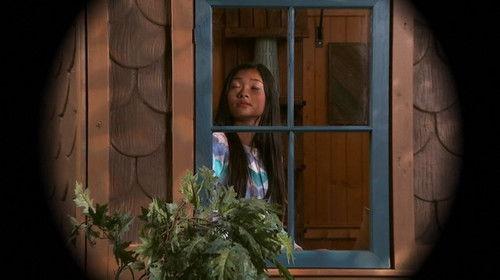 Nicky, Ricky, Dicky & Dawn Season 2 Episode 25 - New Kid on the Block