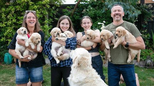 Puppy School for Guide Dogs Season 1 Episode 2 - Episode 2