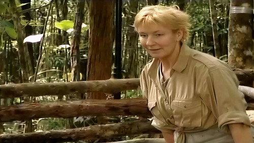I'm a Celebrity...Get Me Out of Here! Season 1 Episode 10 - Pig Chase