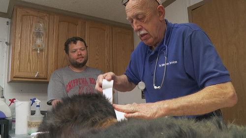 The Incredible Dr. Pol Season 2 Episode 5 - Holy Bat Attack!