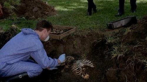 Criminal Minds Season 9 Episode 9 - Strange Fruit