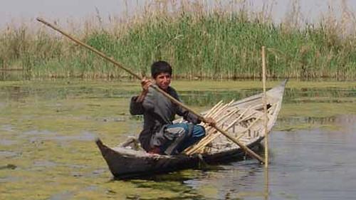 Natural World Season 30 Episode 9 - Miracle in the Marshes of Iraq