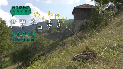 Mitsuaki Iwago's World “Cats” Travelogue Season 1 Episode 12 - Bulgaria