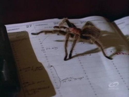 Psi Factor: Chronicles of the Paranormal Season 1 Episode 2 - Possession / Man Out of Time