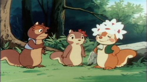 Bannertail: The Story of Gray Squirrel Season 1 Episode 16 - Sue's Star Fortunetelling