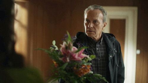 Background image for Episode 4