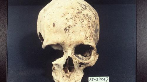 How It Really Happened Season 3 Episode 2 - Ted Bundy Part 2: Ted Escapes