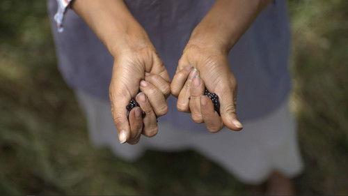 Gods of Food Season 1 Episode 5 - Julia Splenderpoot: The Farm-to-Table Extremist