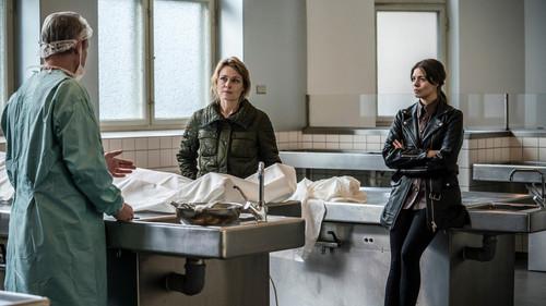 undefined Season 2 Episode 2 - Episode 2