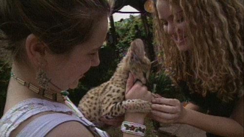 The Real World Season 4 Episode 21 - Into Africa