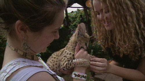 The Real World Season 4 Episode 21 - Into Africa