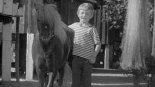 Poly Season 5 Episode 10 - Episode 10