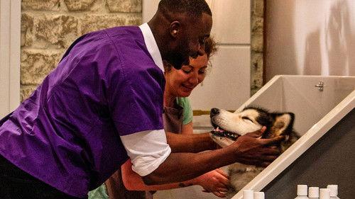 Pooch Perfect Season 1 Episode 2 - Episode 2