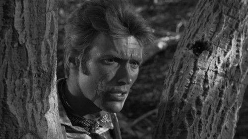 Rawhide Season 1 Episode 4 - Incident of the Widowed Dove