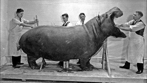 Stories from the Vaults Season 1 Episode 6 - Life After Death