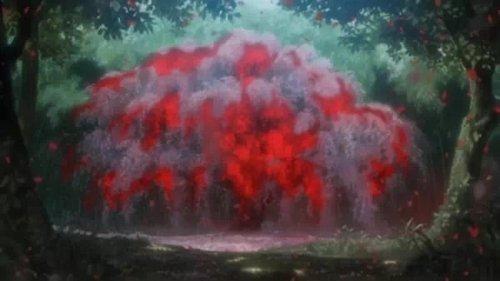 Aoi Bungaku Series Season 1 Episode 5 - In the Forest, Under Cherries in Full Bloom - Chapter 1