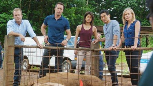 Hawaii Five-0 Season 6 Episode 9 - Hana Keaka (Charade)