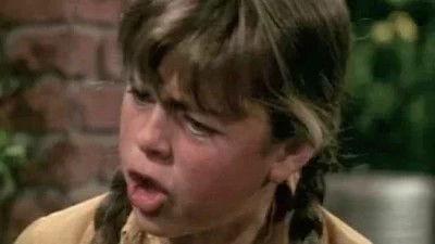 Background image for Stamp of Approval