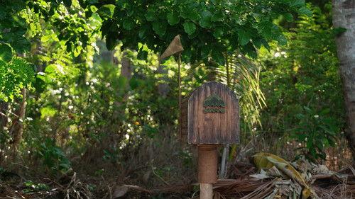 Background image for First price contest