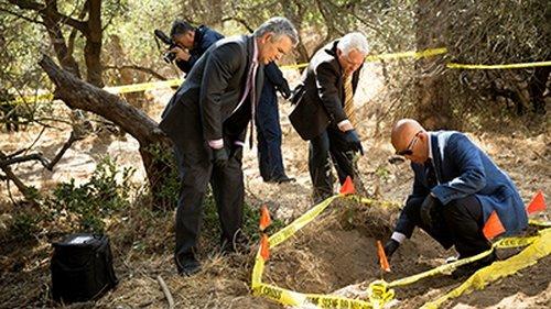 Major Crimes Season 2 Episode 6 - Boys Will Be Boys