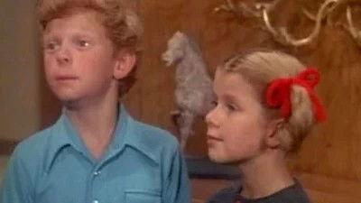 Background image for The Return of Maudie