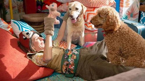 Waffle the Wonder Dog Season 3 Episode 7 - Waffle Needs Quiet Time