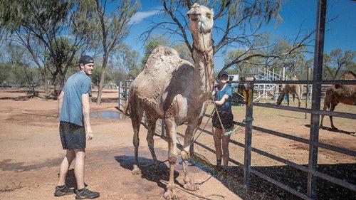 The Amazing Race Australia Season 5 Episode 9 - Leg 9