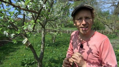 Frank & Kastaniegaarden Season 18 Episode 7 - Episode 7