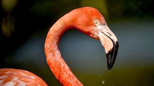 Background image for The Trials of Parenting