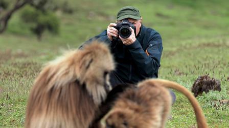 Background image for Wild