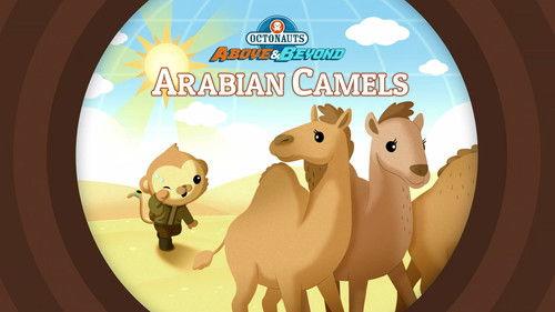 Octonauts: Above & Beyond Season 2 Episode 20 - Arabian Camels